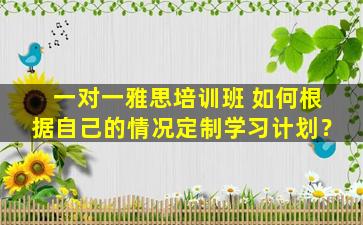 一对一雅思培训班 如何根据自己的情况定制学习计划？